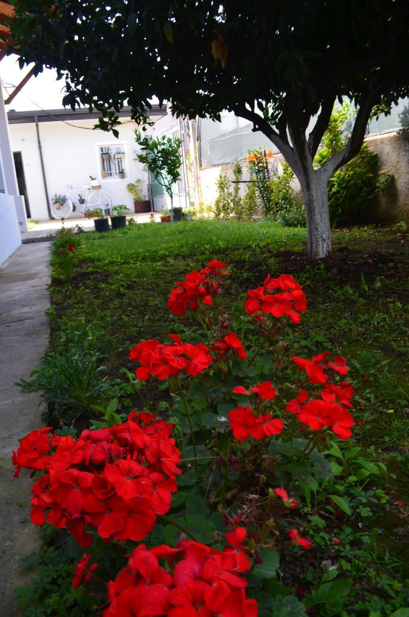 Rustic Tale Guesthouse Extérieur photo