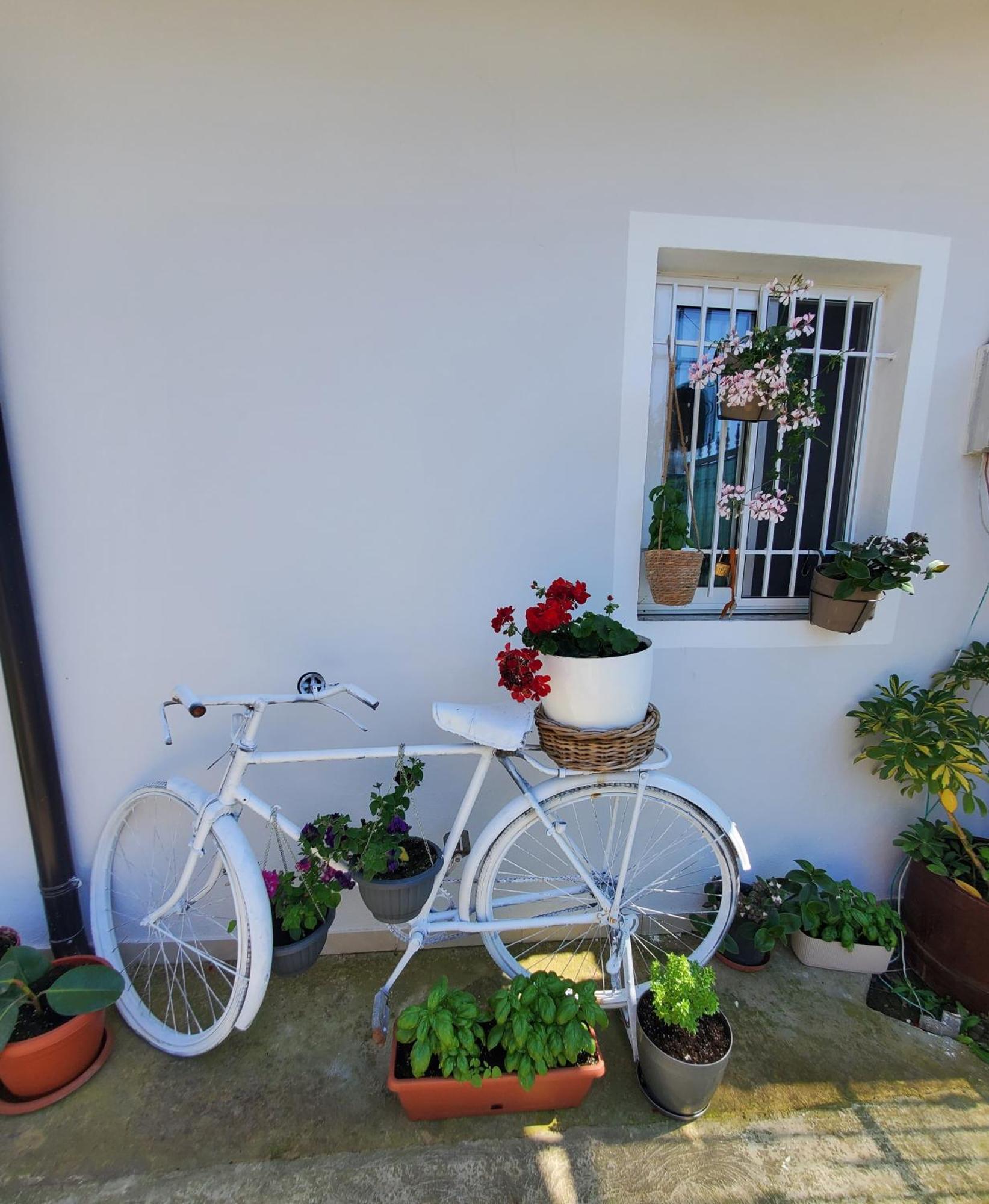 Rustic Tale Guesthouse Extérieur photo